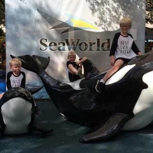 Meet your Posher, Morgan